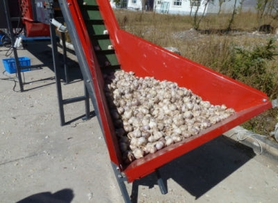 Garlic splitter ERME E600