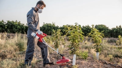 PULMIC FENIX PURE herbicide sprayer